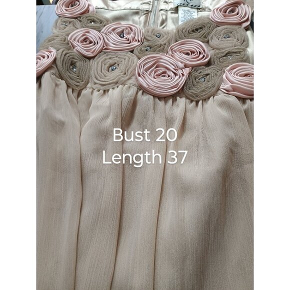 Sleeveless Beige Dress With Floral Rosette Accents & Back Zipper size 14 - Picture 6 of 8